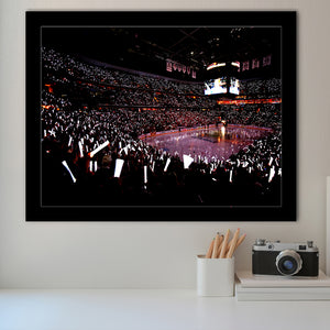 Capital One Arena, Stadium Canvas, Sport Art, Gift for him, Framed Art Prints Wall Art Decor, Framed Picture