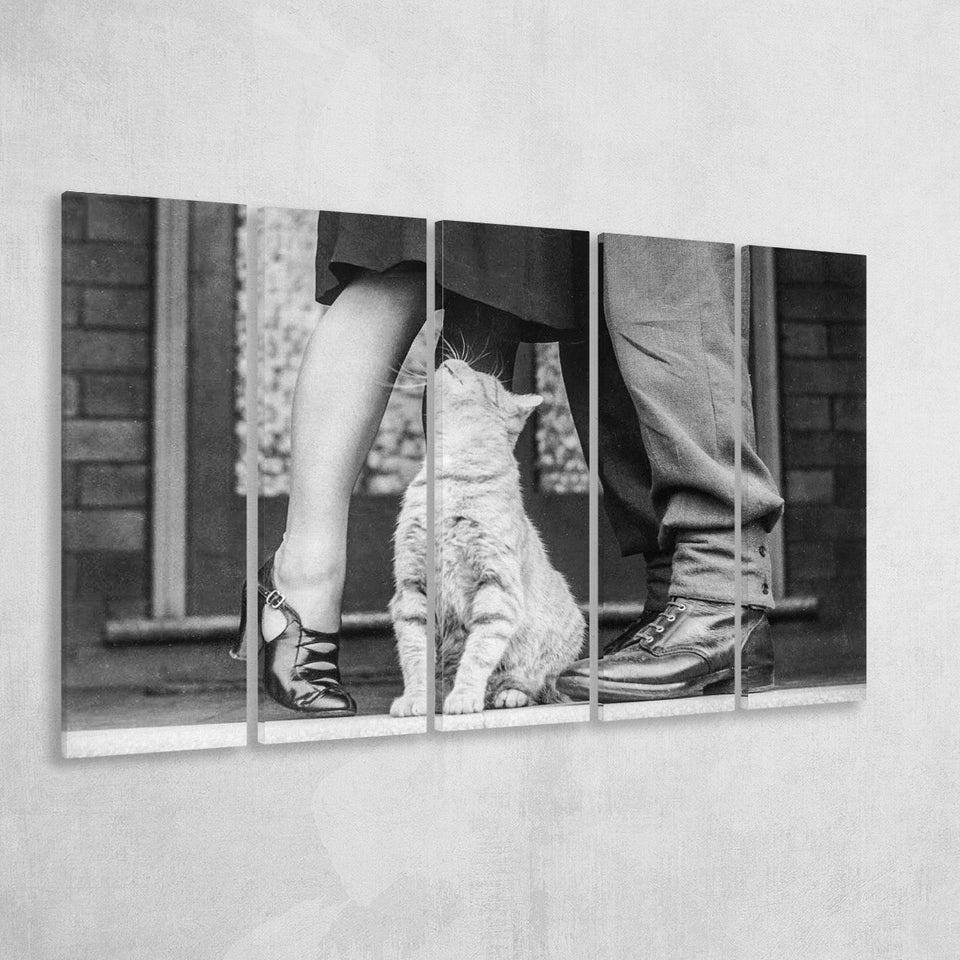 Cat Lovers Black And White Print, Animal Lovers Larger Canvas Art, 5 Piece Canvas Prints Wall Art Decor