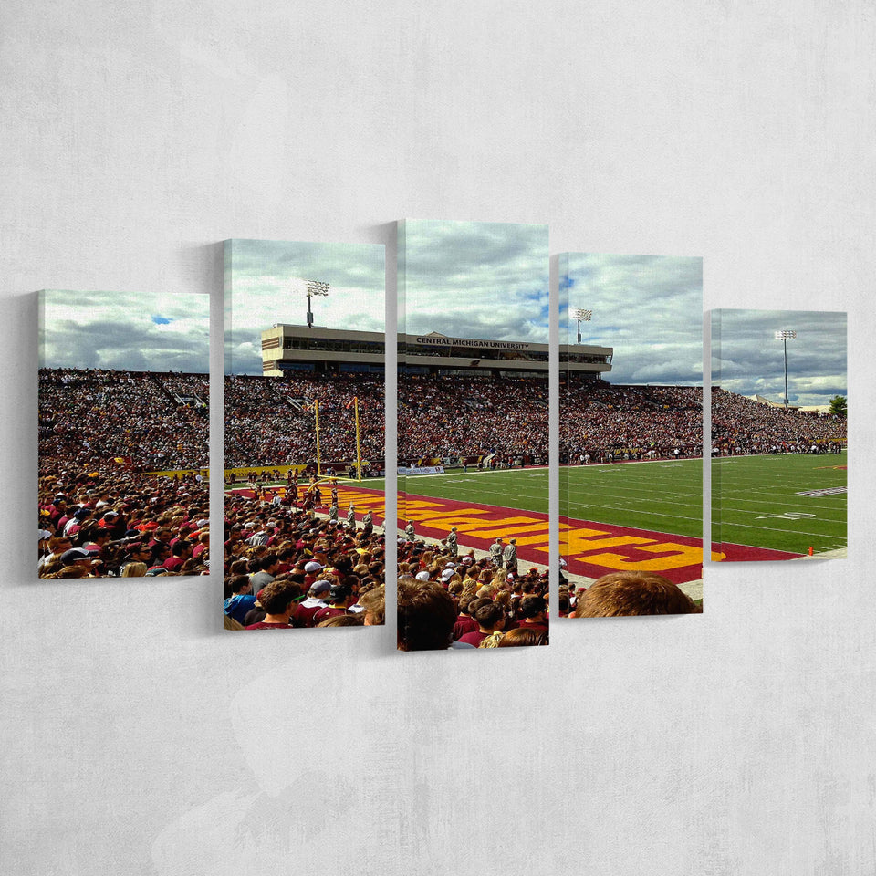Central Michigan Chippewas Stadium Canvas Prints Kelly Shorts Stadium Wall,Multi Panels,Sport Stadium Art Prints, Fan Gift