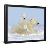 Charming Family Polar Bears Framed Art Prints Wall Decor - Painting Prints, Framed Picture, Home Decor