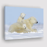 Charming Family Polar Bears Canvas Prints Wall Art Decor - Paiting Canvas, Art Prints, Wall Decor, For Sale