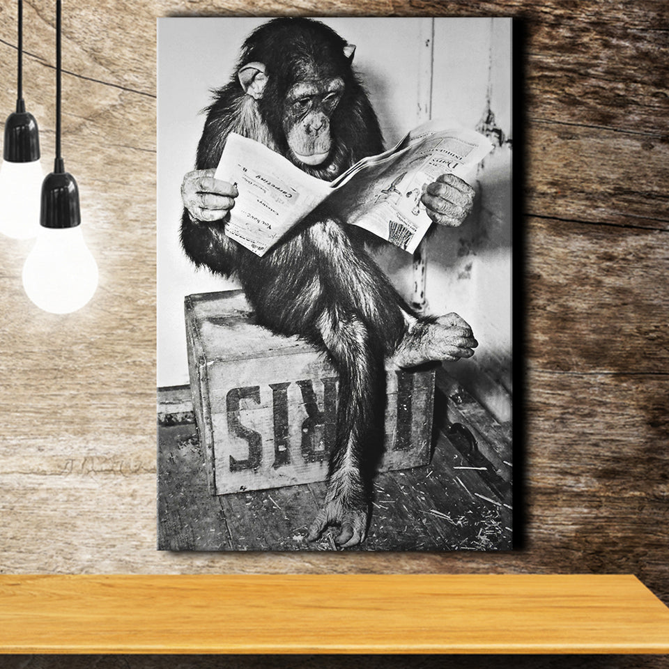 Chimpanzee Reading Newspaper Black And White Print, Monkey Business Canvas Prints Wall Art Home Decor