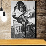 Chimpanzee Reading Newspaper Black And White Print, Monkey Business Canvas Prints Wall Art Home Decor
