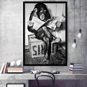 Chimpanzee Reading Newspaper Black And White Print, Monkey Business Fr –  UnixCanvas