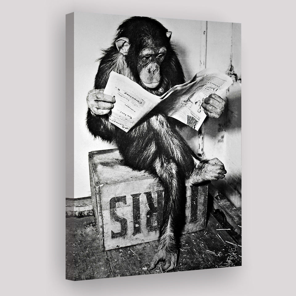 Chimpanzee Reading Newspaper Black And White Print, Monkey Business Canvas Prints Wall Art Home Decor