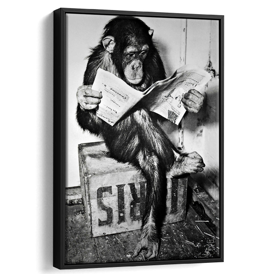 Chimpanzee Reading Newspaper Black And White Print, Monkey Business Framed Canvas Prints Wall Art Home Decor, Floating Frame