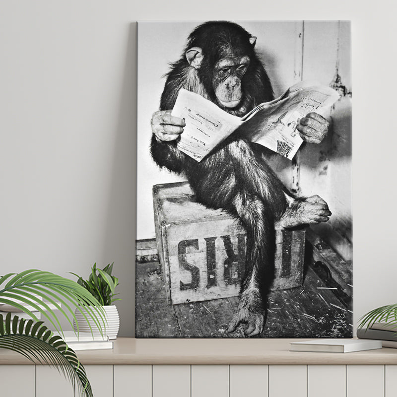 Chimpanzee Reading Newspaper Black And White Print, Monkey Business Canvas Prints Wall Art Home Decor