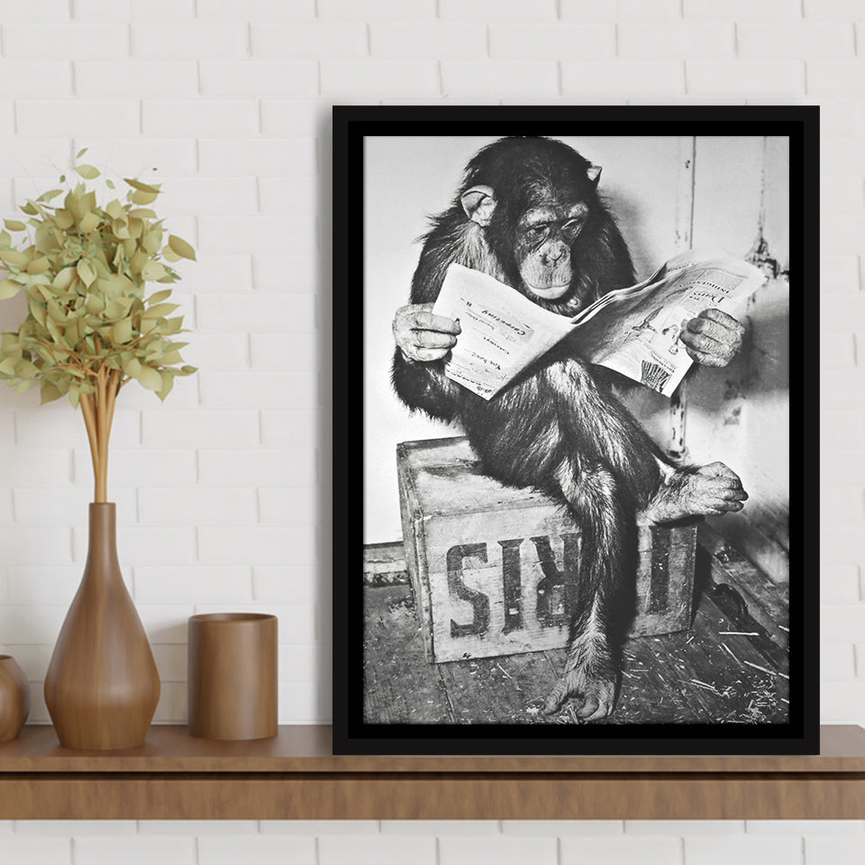 Chimpanzee Reading Newspaper Black And White Print, Monkey Business Framed Canvas Prints Wall Art Home Decor, Floating Frame