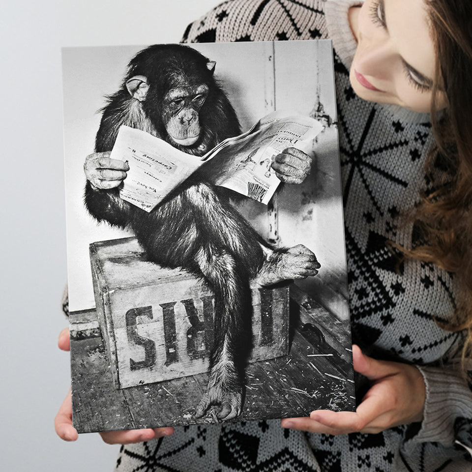 Chimpanzee Reading Newspaper Black And White Print, Monkey Business Canvas Prints Wall Art Home Decor