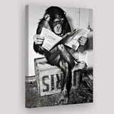 Chimpanzee Reading Newspaper Black And White Print, Monkey Business Canvas Prints Wall Art Home Decor