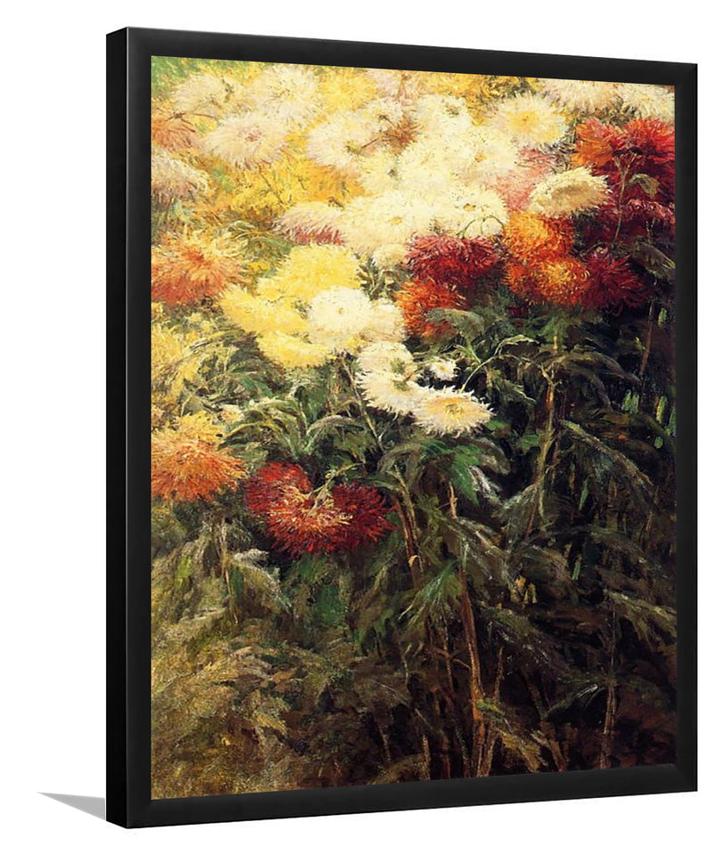 Chrysanthemum. The Garden In Petit-Gennevilliers By Gustave Caillebotte-Art Print,Frame Art,Plexiglass Cover
