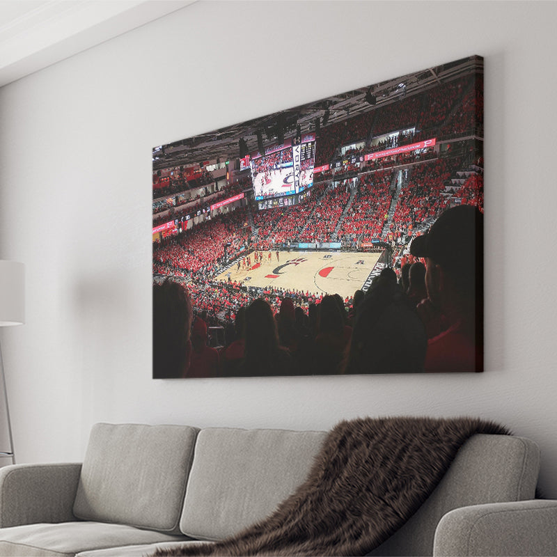 Cincinnati Bearcats Stadium Canvas Prints Fifth Third Arena Wall Art,Sport Stadium Art Prints, Fan Gift, Wall Decor
