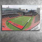 Cincinnati Bearcats Wall Art Nippert Stadium Canvas Prints American,Sport Stadium Art Prints, Fan Gift, Wall Decor