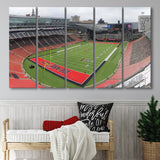 Cincinnati Bearcats Wall Art Nippert Stadium Canvas Prints American,Multi Panels B,Sport Stadium Art Prints, Fan Gift