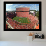 Clemson Memorial Stadium Art Prints Clemson Tigers Wall Art,Sport Stadium Art Prints, Fan Gift, Wall Decor
