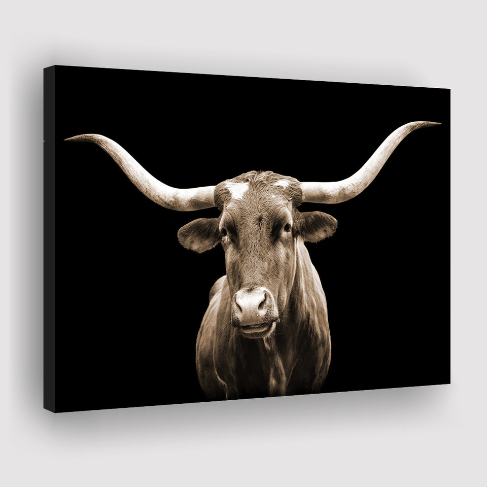 Close Up Portrait Of Texas Longhorn Cow With Black Background Canvas Prints Wall Art - Painting Canvas,Wall Decor,Art Print,Home Decor