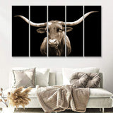 Close Up Portrait Of Texas Longhorn Cow With Black Background 5 Piece B Multi Panels Canvas Prints Wall Art Decor
