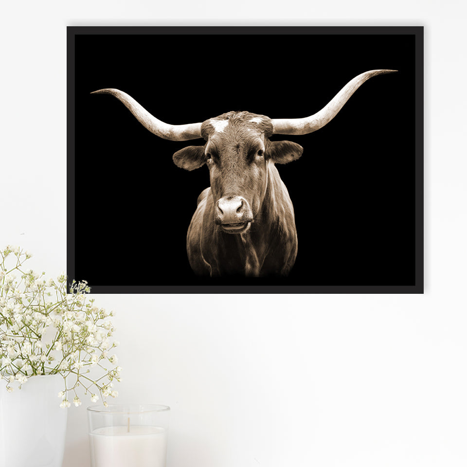 Close Up Portrait Of Texas Longhorn Cow With Black Background Framed Canvas Prints Wall Art - Painting Canvas,Framed Picture,Wall Decor