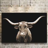 Close Up Portrait Of Texas Longhorn Cow With Black Background Canvas Prints Wall Art - Painting Canvas,Wall Decor,Art Print,Home Decor