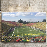 College football Stadium, Stadium Canvas, Sport Art, Gift for him, Fan Gift, Canvas Prints Wall Art Decor