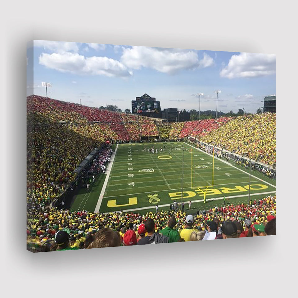 College football Stadium, Stadium Canvas, Sport Art, Gift for him, Fan Gift, Canvas Prints Wall Art Decor