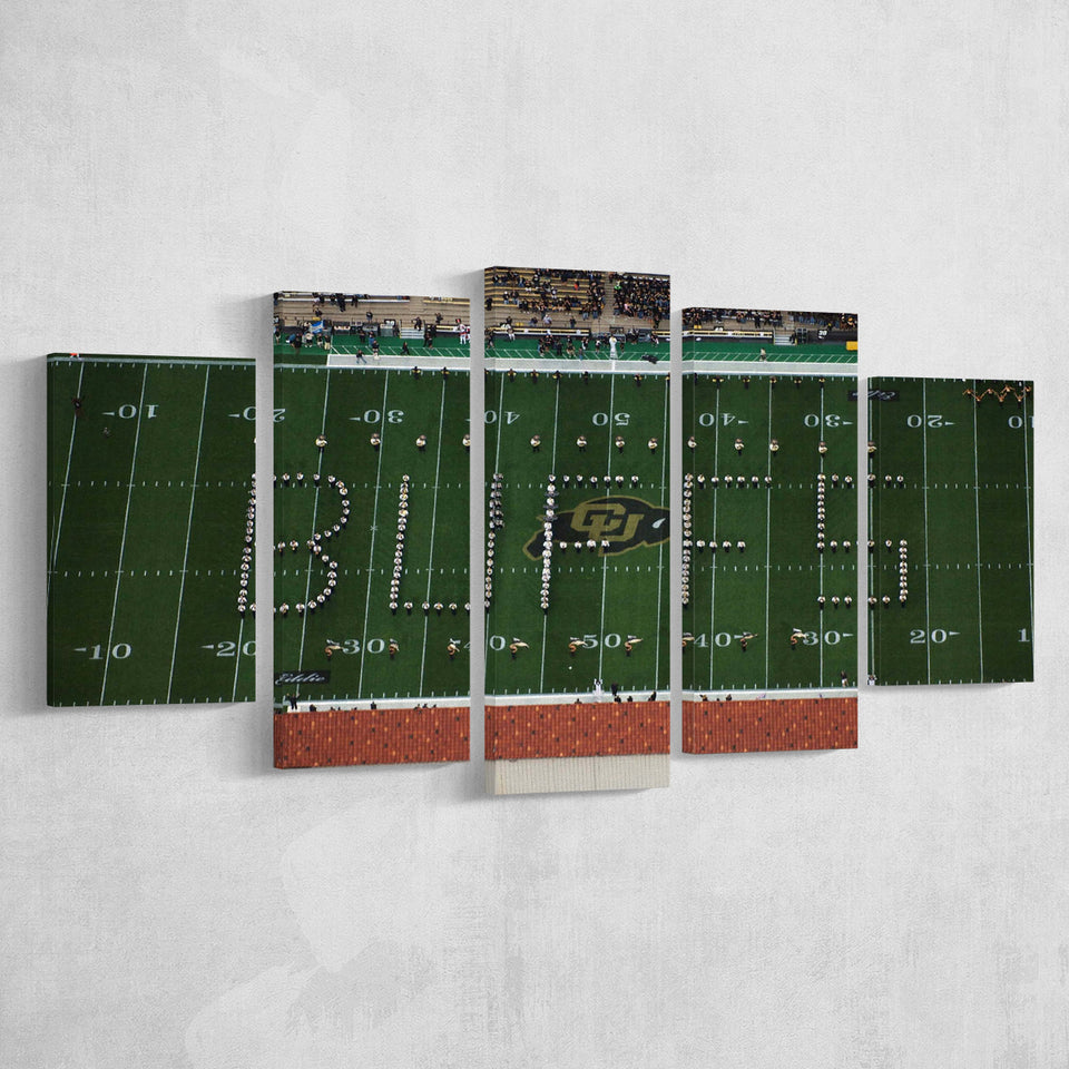 Colorado Buffaloes Stadium Canvas Prints Folsom Field Stadium Wall Art,Multi Panels,Sport Stadium Art Prints, Fan Gift
