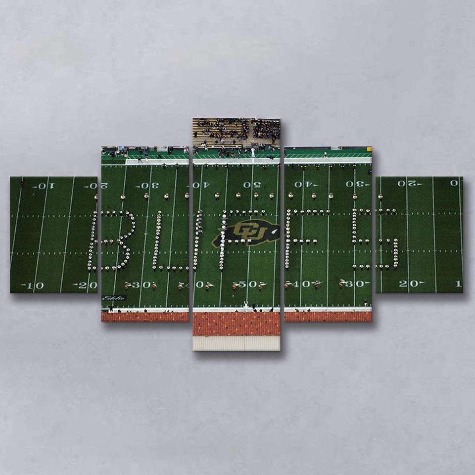 Colorado Buffaloes Stadium Canvas Prints Folsom Field Stadium Wall Art,Multi Panels,Sport Stadium Art Prints, Fan Gift