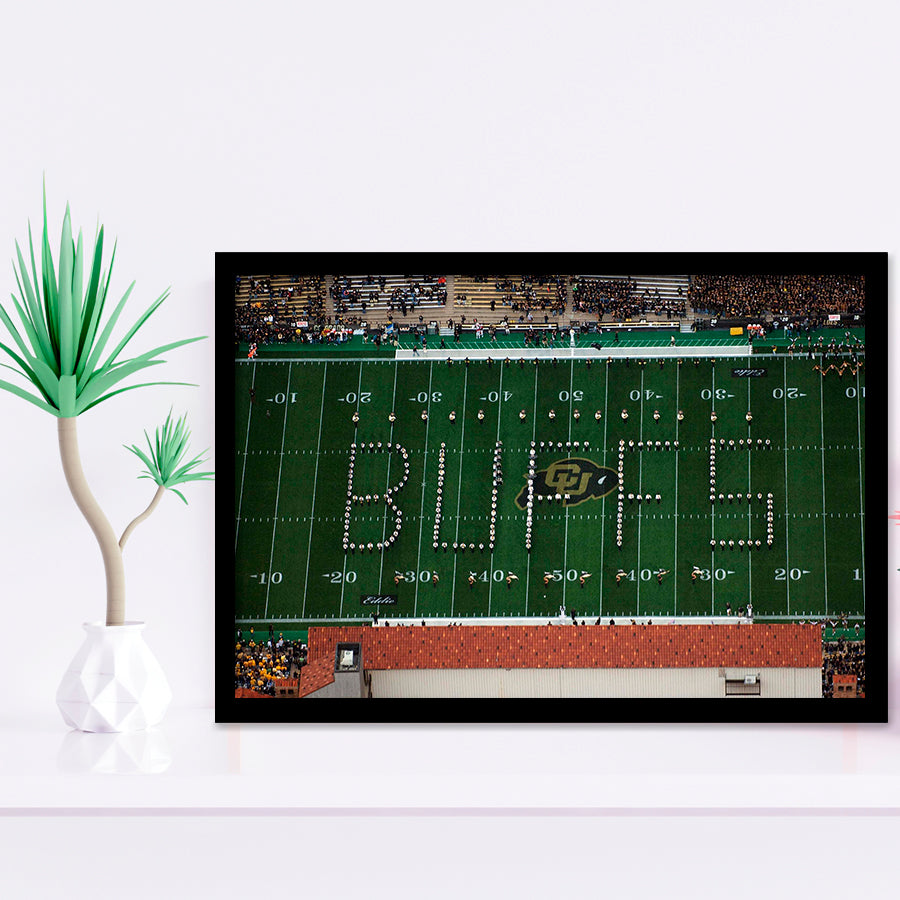 Colorado Buffaloes Stadium Art Prints Folsom Field Stadium Wall Art,Sport Stadium Art Prints, Fan Gift, Wall Decor