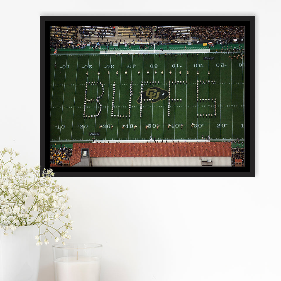 Colorado Buffaloes Stadium Framed Canvas Prints Folsom Field Stadium Wall Art,Sport Stadium Art Prints, Fan Gift