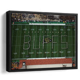 Colorado Buffaloes Stadium Framed Canvas Prints Folsom Field Stadium Wall Art,Sport Stadium Art Prints, Fan Gift