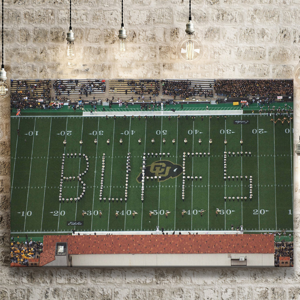 Colorado Buffaloes Stadium Canvas Prints Folsom Field Stadium Wall Art,Sport Stadium Art Prints, Fan Gift, Wall Decor