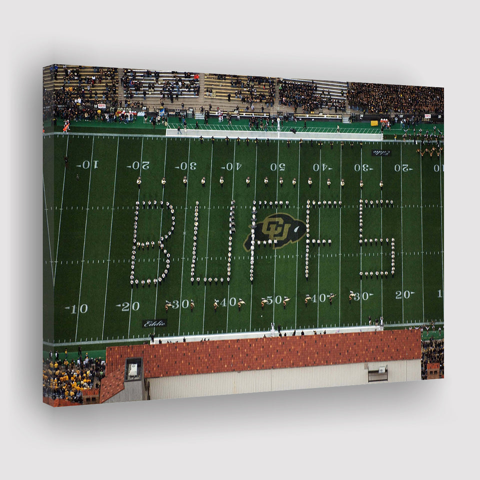 Colorado Buffaloes Stadium Canvas Prints Folsom Field Stadium Wall Art,Sport Stadium Art Prints, Fan Gift, Wall Decor