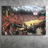Colorado State Rams Wall Art Moby Arena Stadium Canvas Prints,Sport Stadium Art Prints, Fan Gift, Wall Decor