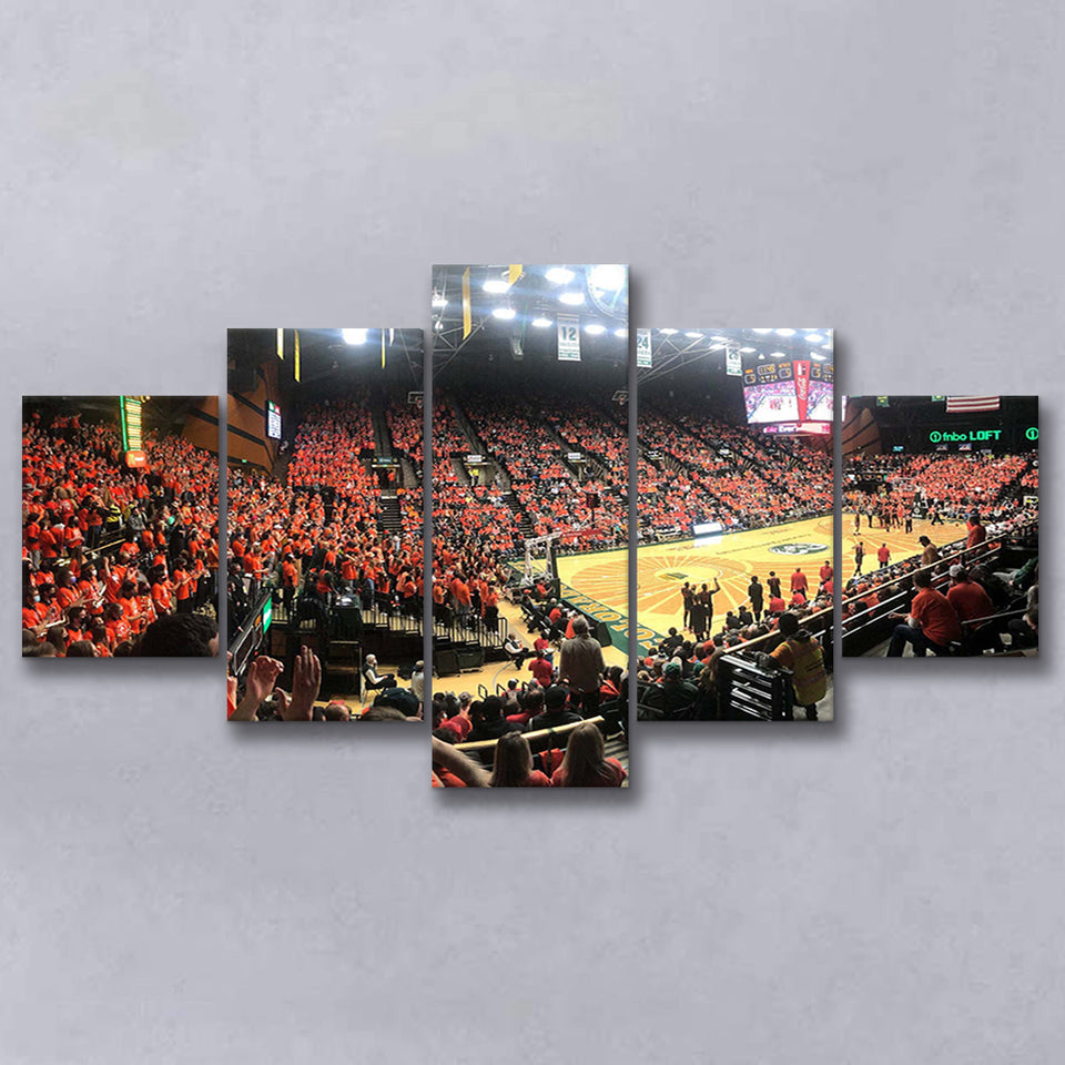 Colorado State Rams Wall Art Moby Arena Stadium Canvas Prints,Multi Panels,Sport Stadium Art Prints, Fan Gift
