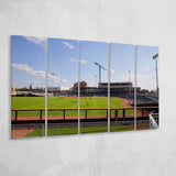 Columbia Fireflies Wall Art Segra Stadium Canvas Prints Baseball,Multi Panels B,Sport Stadium Art Prints, Fan Gift
