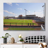 Columbia Fireflies Wall Art Segra Stadium Canvas Prints Baseball,Sport Stadium Art Prints, Fan Gift, Wall Decor