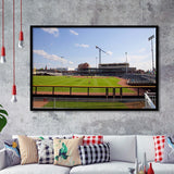 Columbia Fireflies Wall Art Segra Stadium Art Prints Baseball,Sport Stadium Art Prints, Fan Gift, Wall Decor
