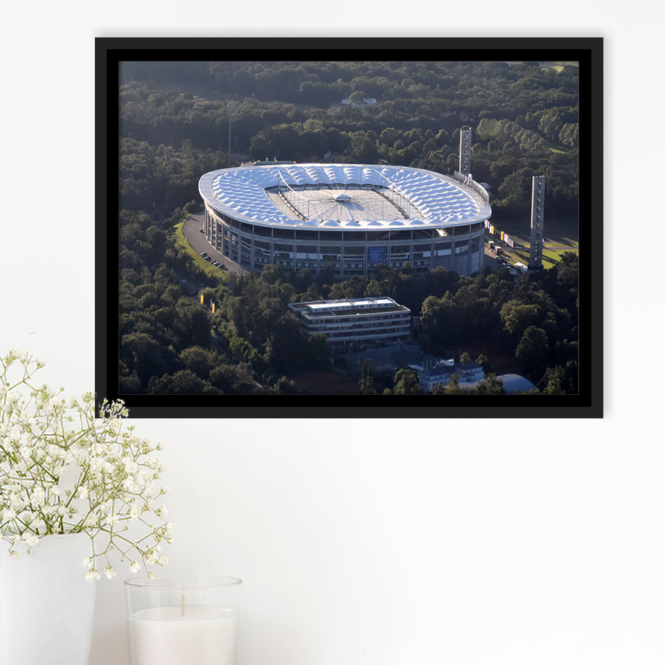 Commerzbank Arena in Salvador, Stadium Canvas, Sport Art, Gift for him, Framed Canvas Prints Wall Art Decor, Framed Picture