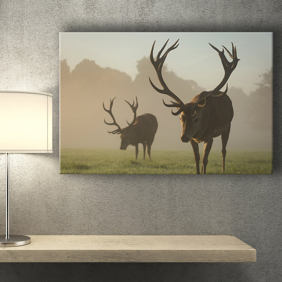 Cool Stag Canvas Prints Wall Art - Painting Canvas,Wall Decor, Painting Prints,For Sale