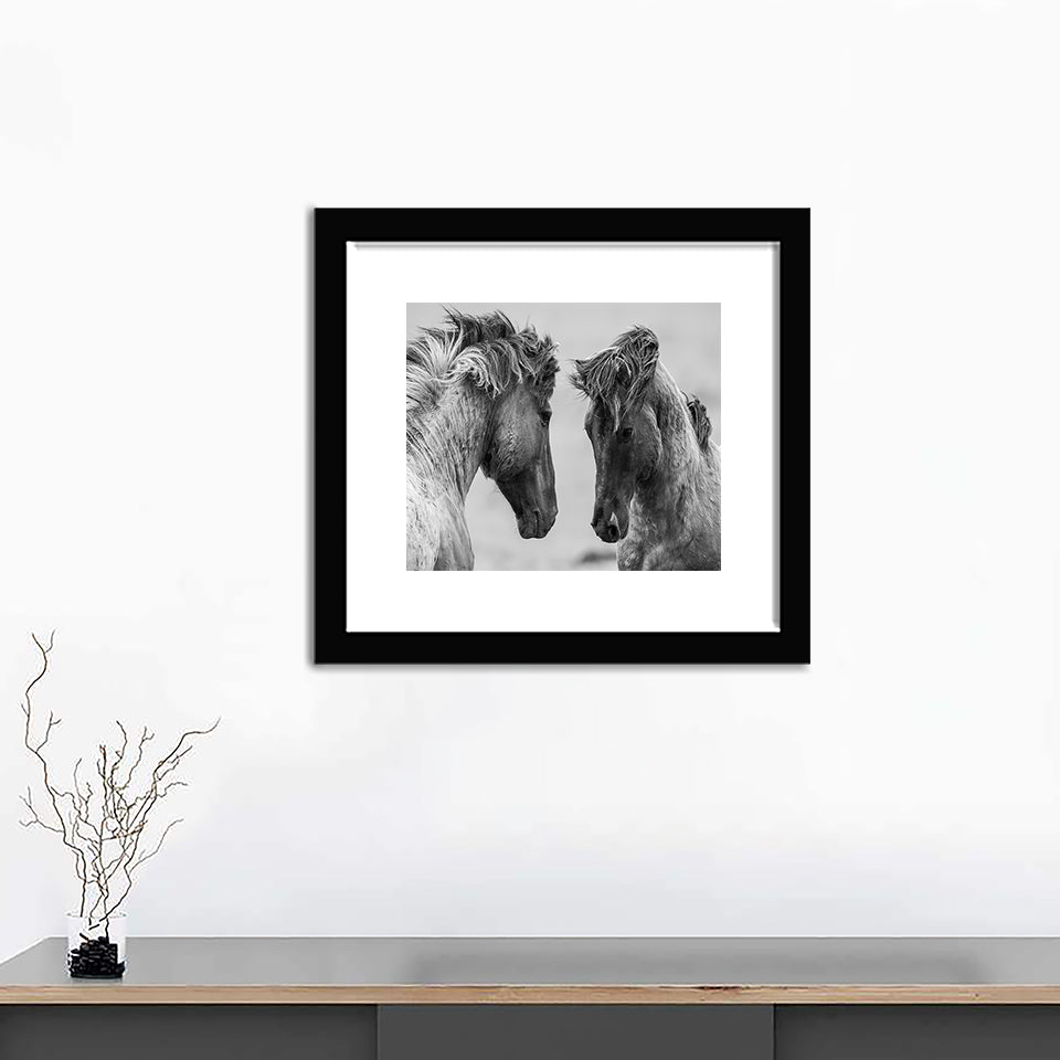 Couple of Horses in Black and White - Art Prints, Framed Prints, Wall Art Prints, Frame Art