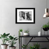 Couple of Horses in Black and White-Canvas art,Art print,Frame art