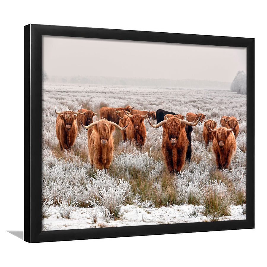Cow Longhorn Cow Art Highland Cow Framed Art Prints Wall Decor - Painting Art,Framed Picture,For Sale, Ready to hang