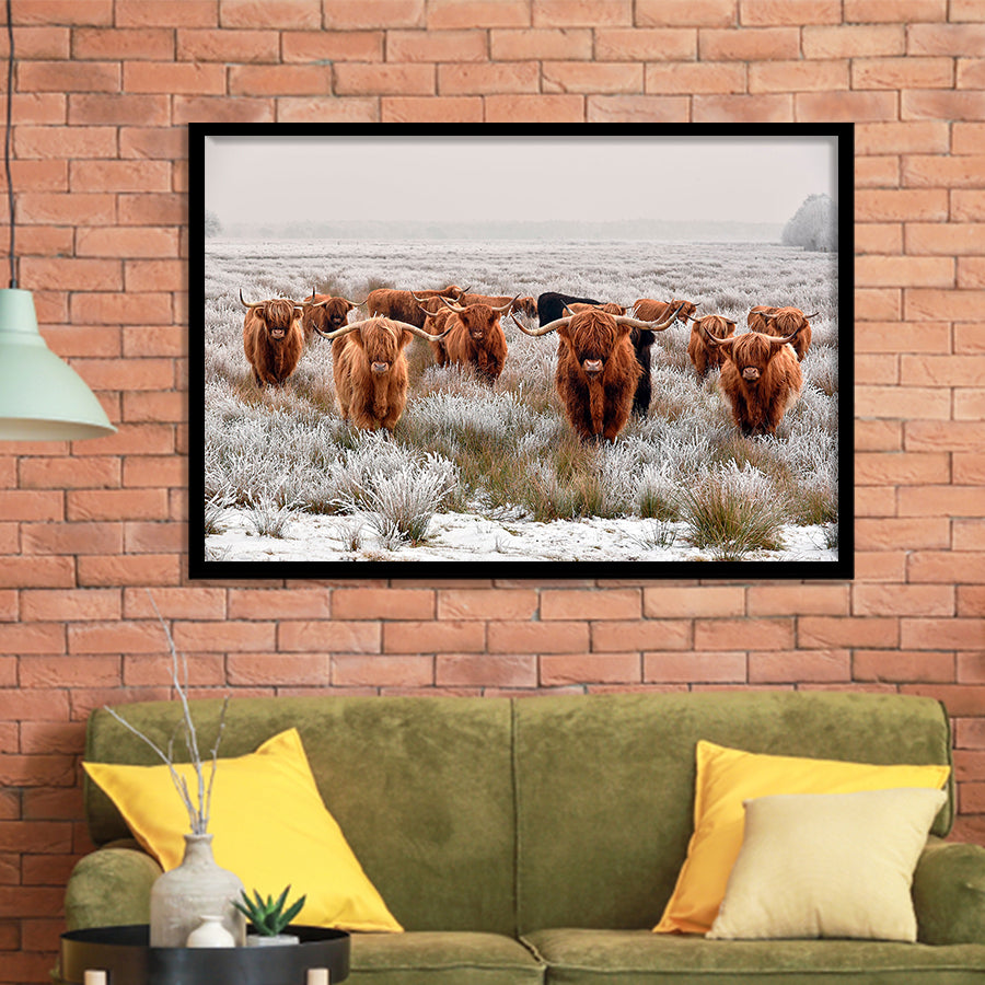 Cow Longhorn Cow Art Highland Cow Framed Art Prints Wall Decor - Painting Art,Framed Picture,For Sale, Ready to hang