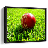 Cricket Ball in the Grass, Stadium Canvas, Sport Art, Gift for him, Framed Canvas Prints Wall Art Decor, Framed Picture
