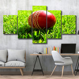 Cricket Ball in the Grass, Stadium Canvas, Sport Art, Large Canvas, Multi Panels, Canvas Prints Wall Art Decor