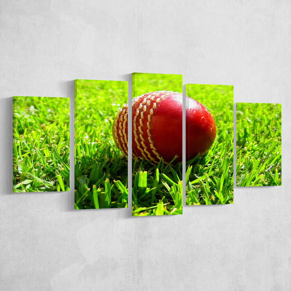 Cricket Ball in the Grass, Stadium Canvas, Sport Art, Large Canvas, Multi Panels, Canvas Prints Wall Art Decor