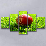 Cricket Ball in the Grass, Stadium Canvas, Sport Art, Large Canvas, Multi Panels, Canvas Prints Wall Art Decor