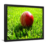 Cricket Ball in the Grass, Stadium Canvas, Sport Art, Gift for him, Framed Art Prints Wall Art Decor, Framed Picture