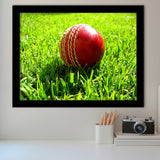 Cricket Ball in the Grass, Stadium Canvas, Sport Art, Gift for him, Framed Art Prints Wall Art Decor, Framed Picture