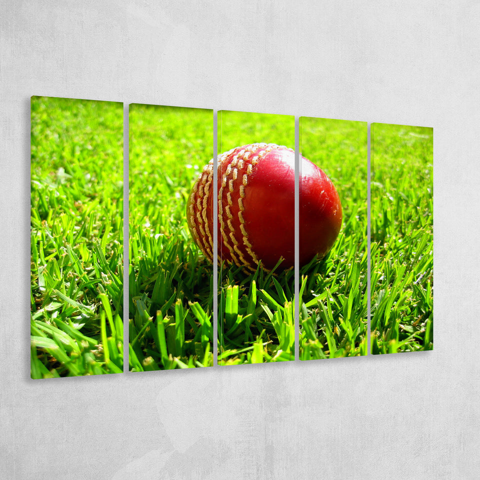 Cricket Ball in the Grass, Stadium Canvas, Sport Art, Gift for him, Multi Panels B, Canvas Prints Wall Art Decor
